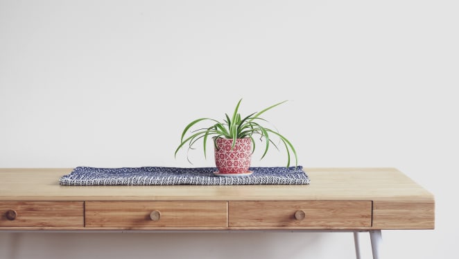 Essential household items for your new apartment
