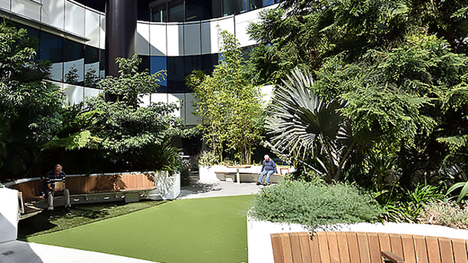 Victorian Election 2018: AILA Victoria calls for increased investment in green infrastructure