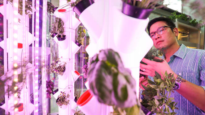 High-yield produce gardens with next-to-no maintenance are set to enhance apartment living in Australia