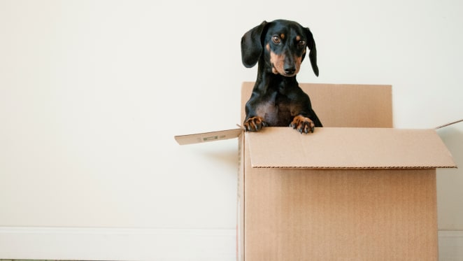 Decluttering experts share effective downsizing advice for apartment living
