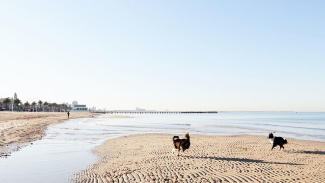 Everything you need to know about the brand-new Port Melbourne development, Port Lane