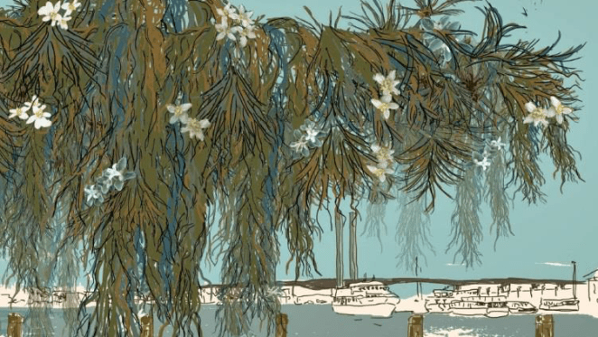 RMIT students propose pop-up activation for Docklands