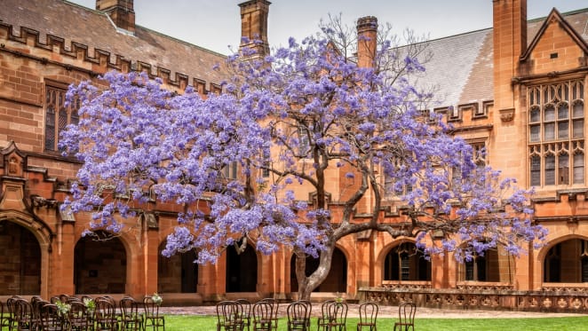 NSW Government greenlights Darlington Terraces rebuild for affordable student housing