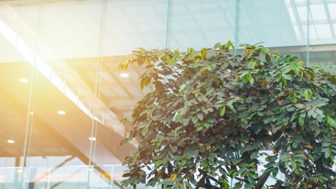 Importance of environmental credentials grows for property investors: Savills