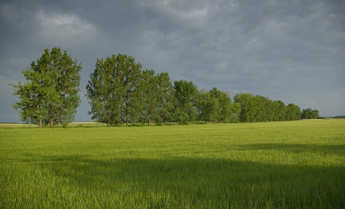 We must look past short-term drought solutions and improve the land itself