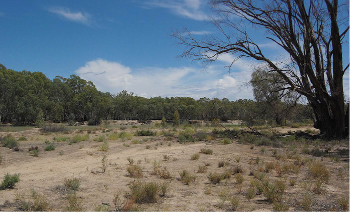 Australia’s drought relief package hits the political spot but misses the bigger point