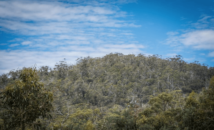Green light for Tasmanian wilderness tourism development defied expert advice