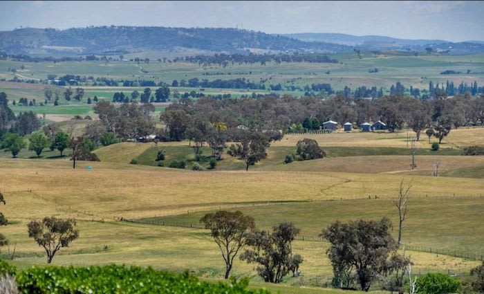 Central and Western NSW rural market maintains reasonable levels of interest: HTW
