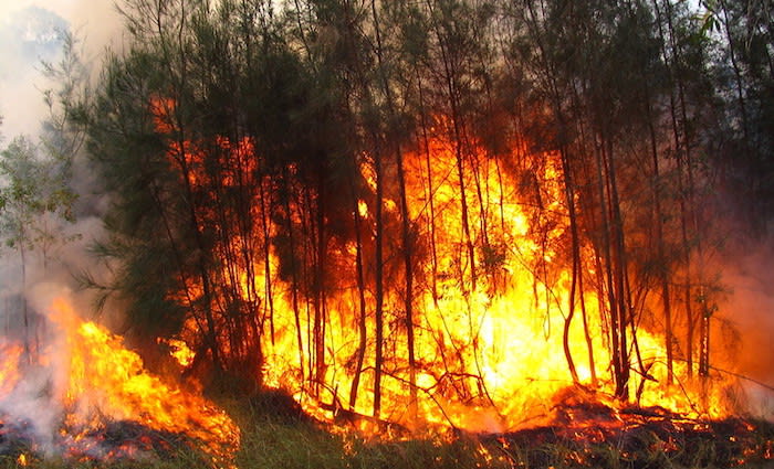 I made bushfire maps from satellite data, and found a glaring gap in Australia’s preparedness