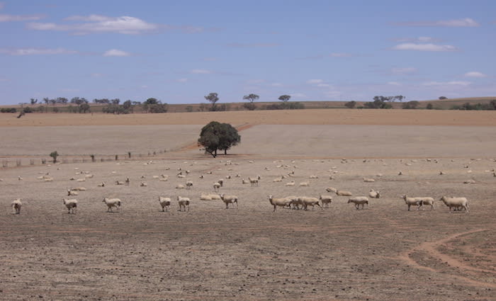 A national drought policy should be an easy, bipartisan fix. So why has it taken so long to enact a new one?