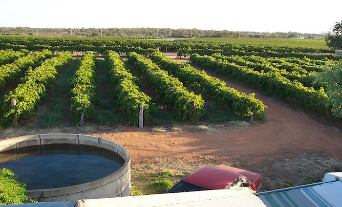Mildura region holding value thanks to resilient agricultural sector: HTW rural