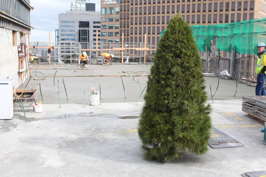 35 Spring Street marks its place in the skyline