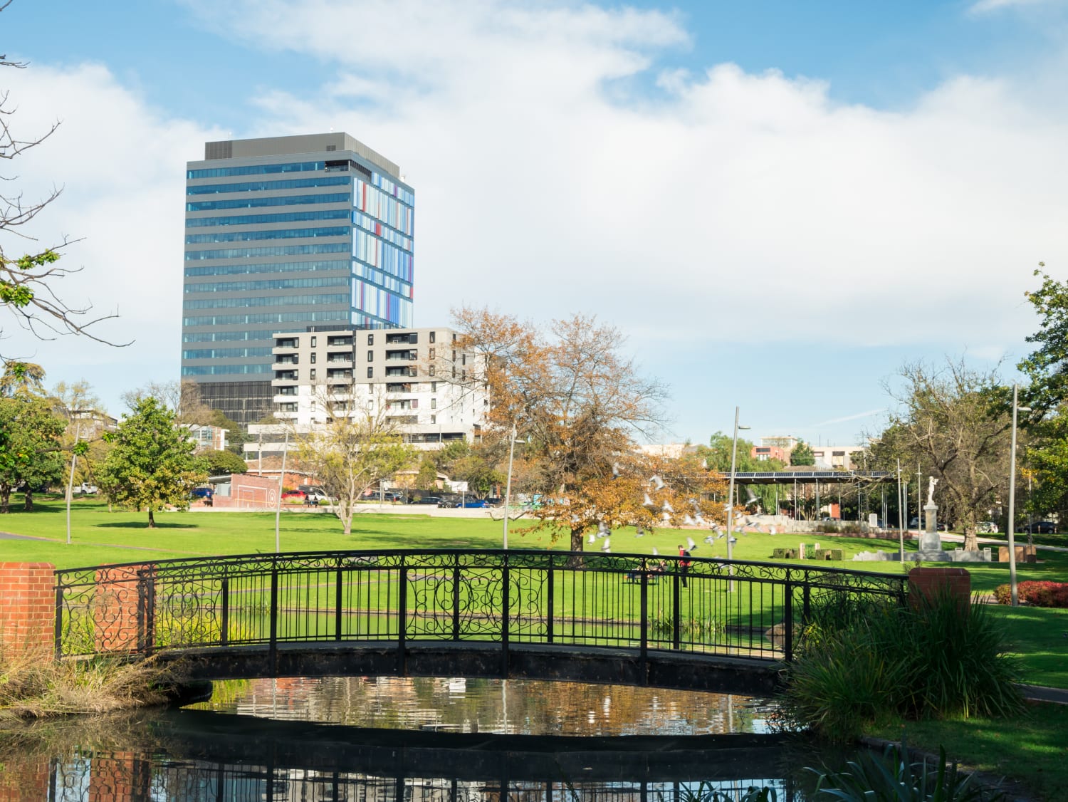 Box Hill, Victoria 3128: The complete suburb guide for buyers