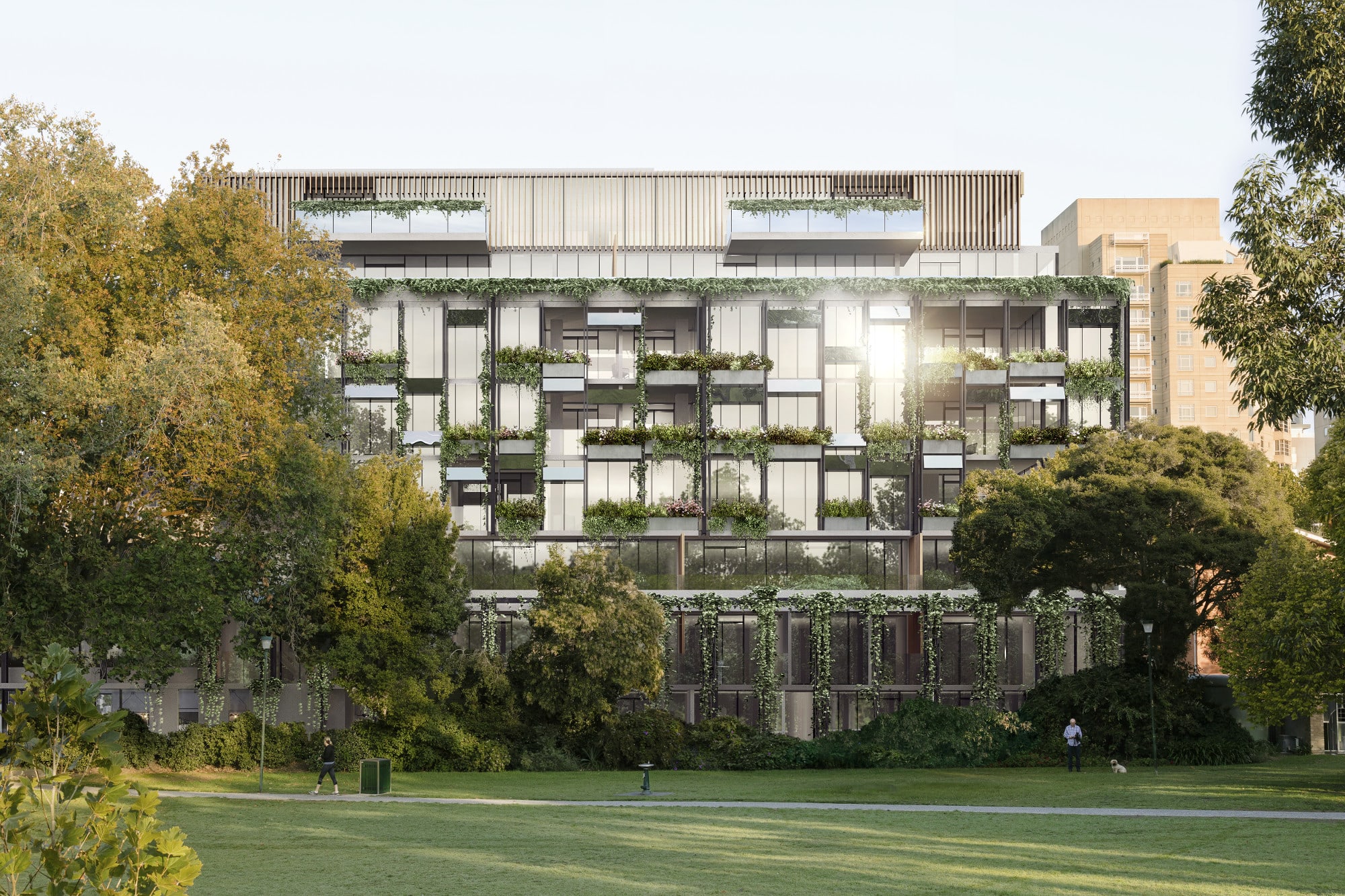 The Hanging Gardens of South Yarra