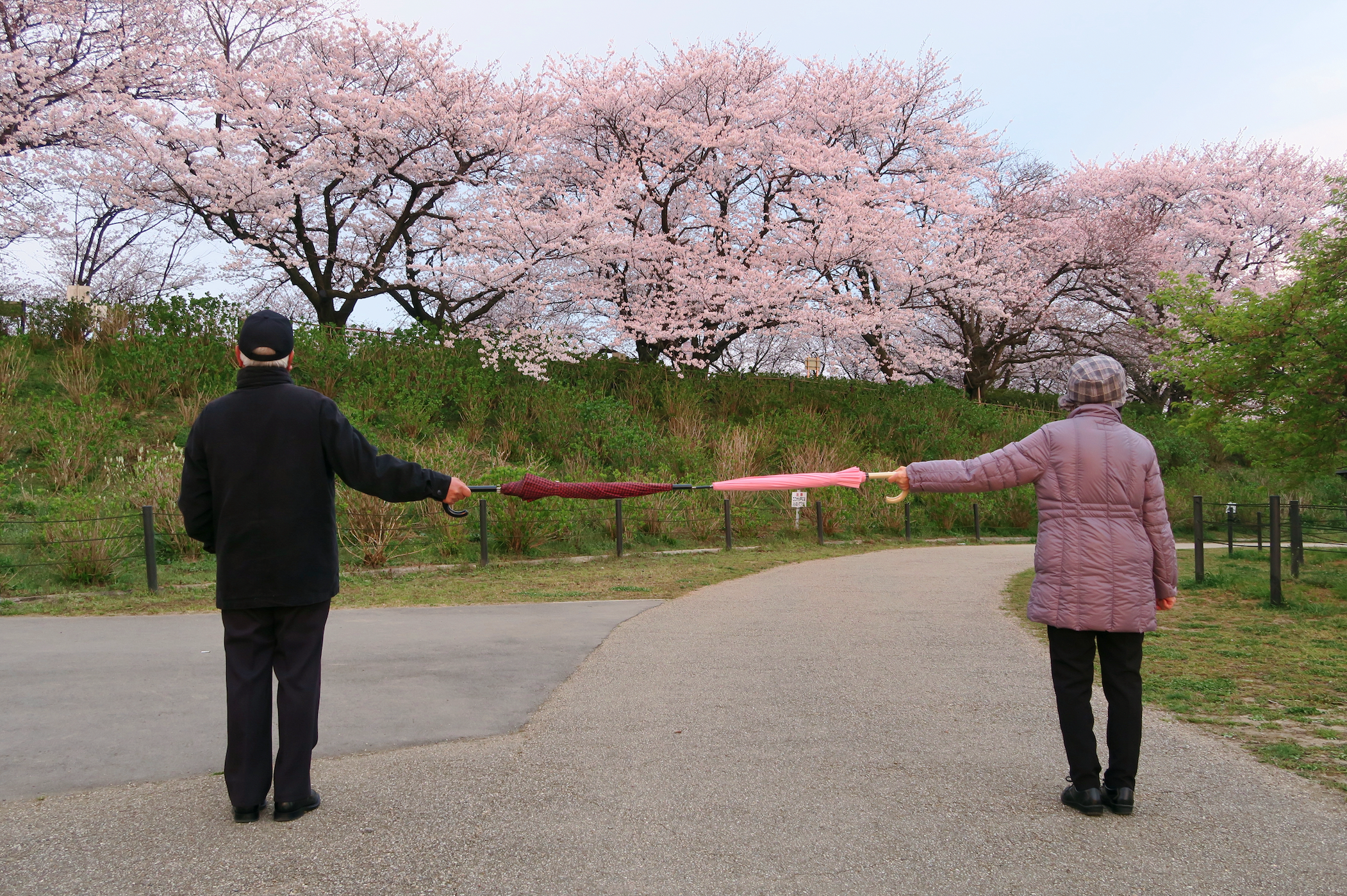 COVID-19: Is it possible to practise social distancing at home? Absolutely