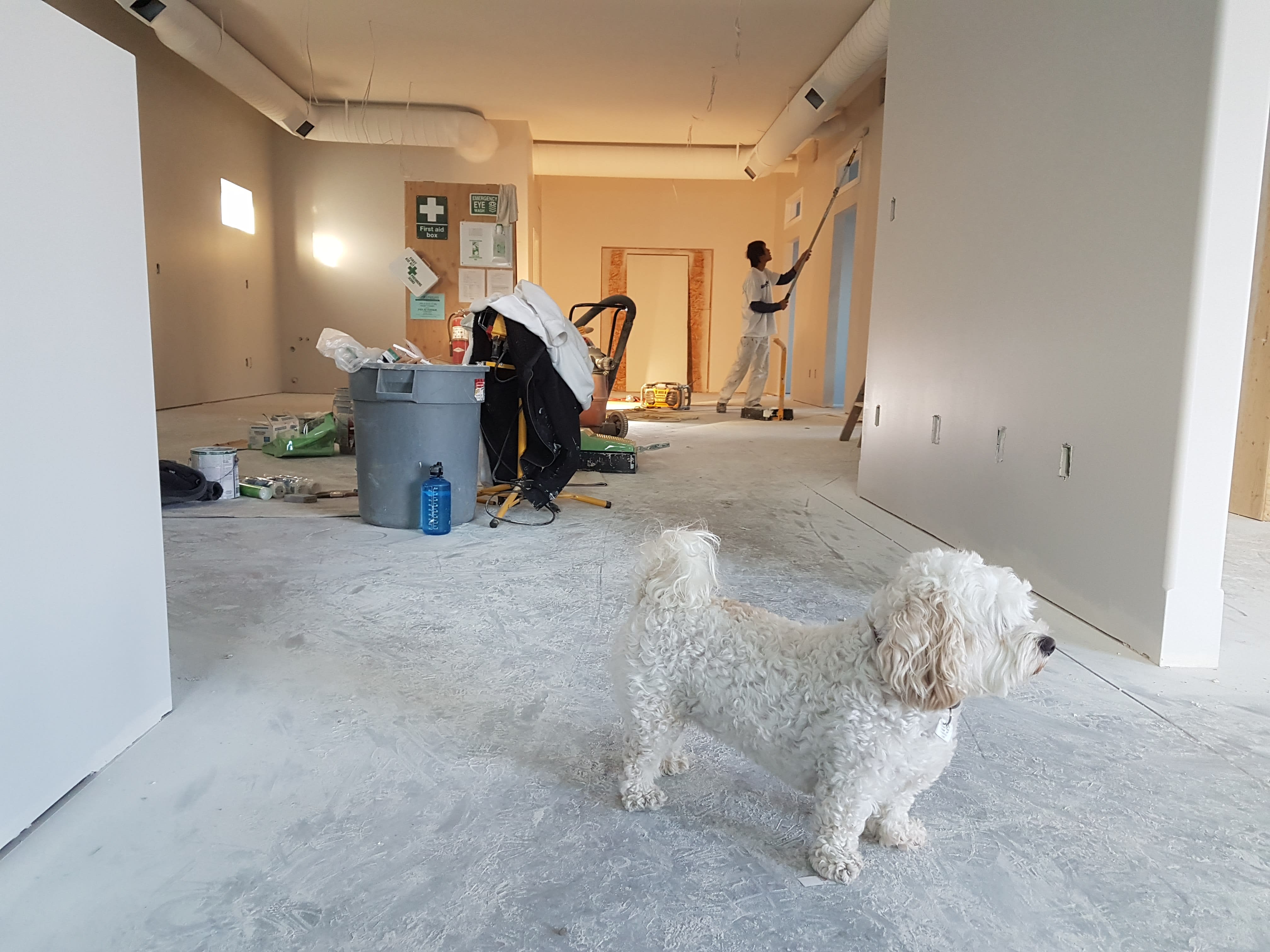 COVID-19: Federal government announces $25,000 grant for home builders and renovators
