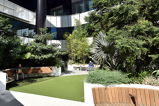 Victorian Election 2018: AILA Victoria calls for increased investment in green infrastructure