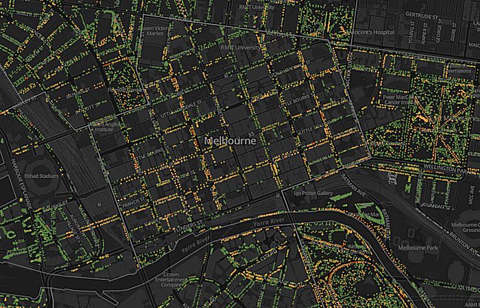 Urban Forest Visual