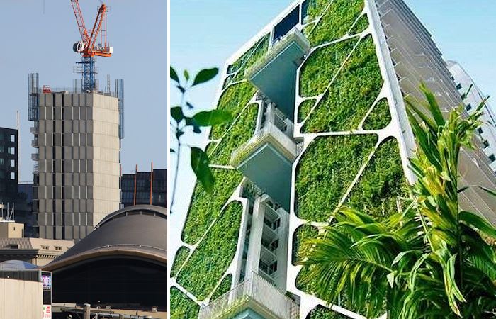 A green solution to an unsightly problem