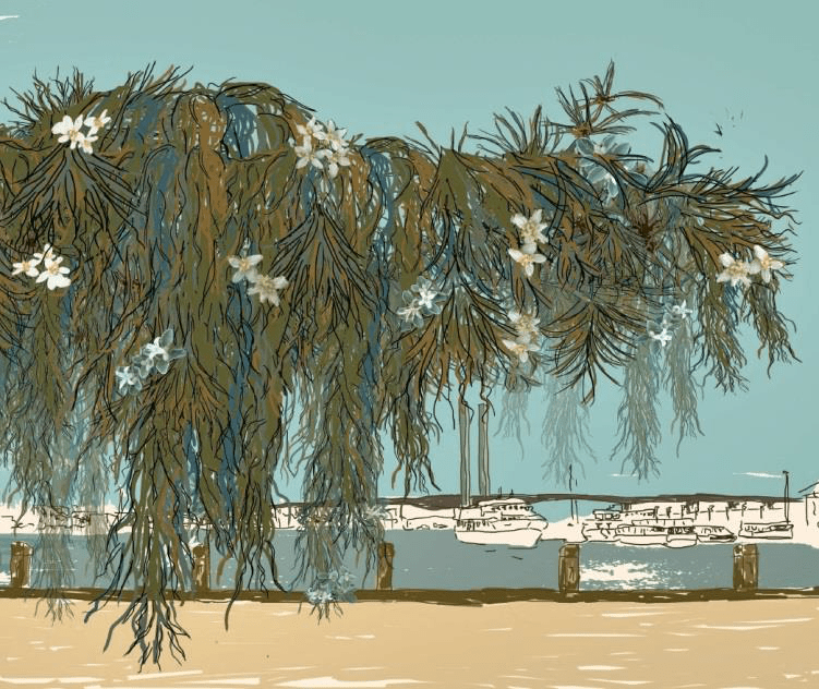 RMIT students propose pop-up activation for Docklands
