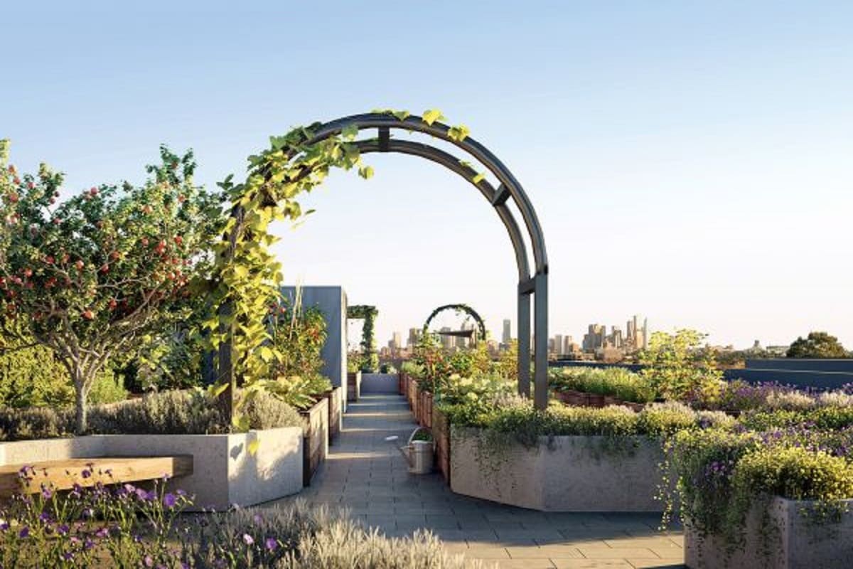 Rooftop garden with vegetable plots and communal spaces.