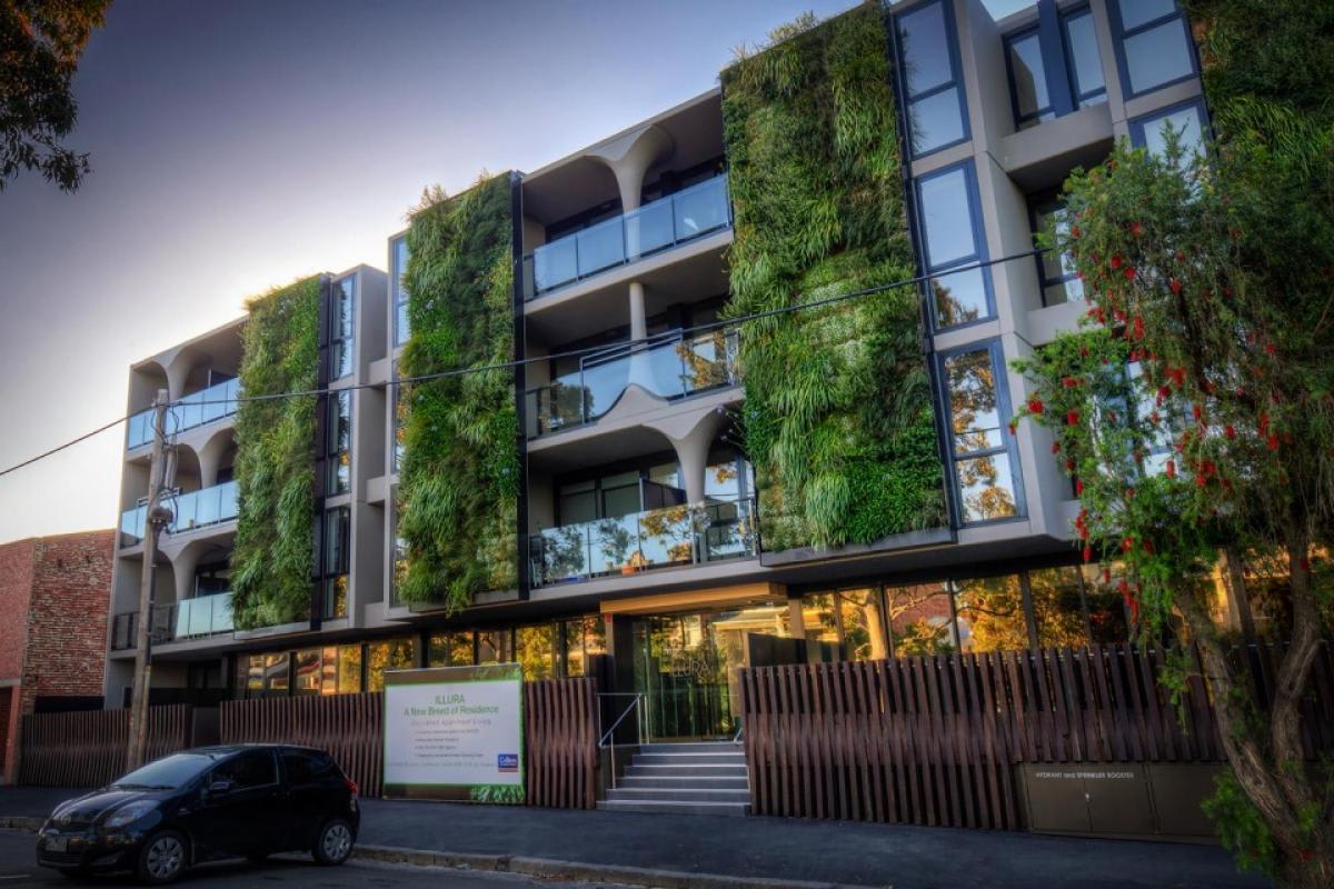 Could money one day grow on rooftop trees? Could money one day grow on rooftop trees?