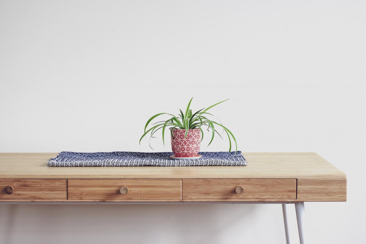 Essential household items for your new apartment Essential household items for your new apartment