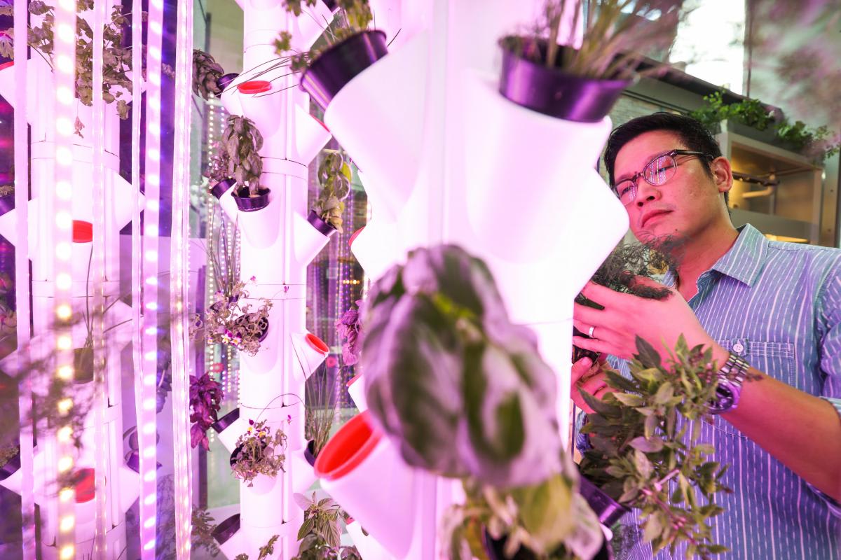 High-yield produce gardens with next-to-no maintenance are set to enhance apartment living in Australia High-yield produce gardens with next-to-no maintenance are set to enhance apartment living in Australia