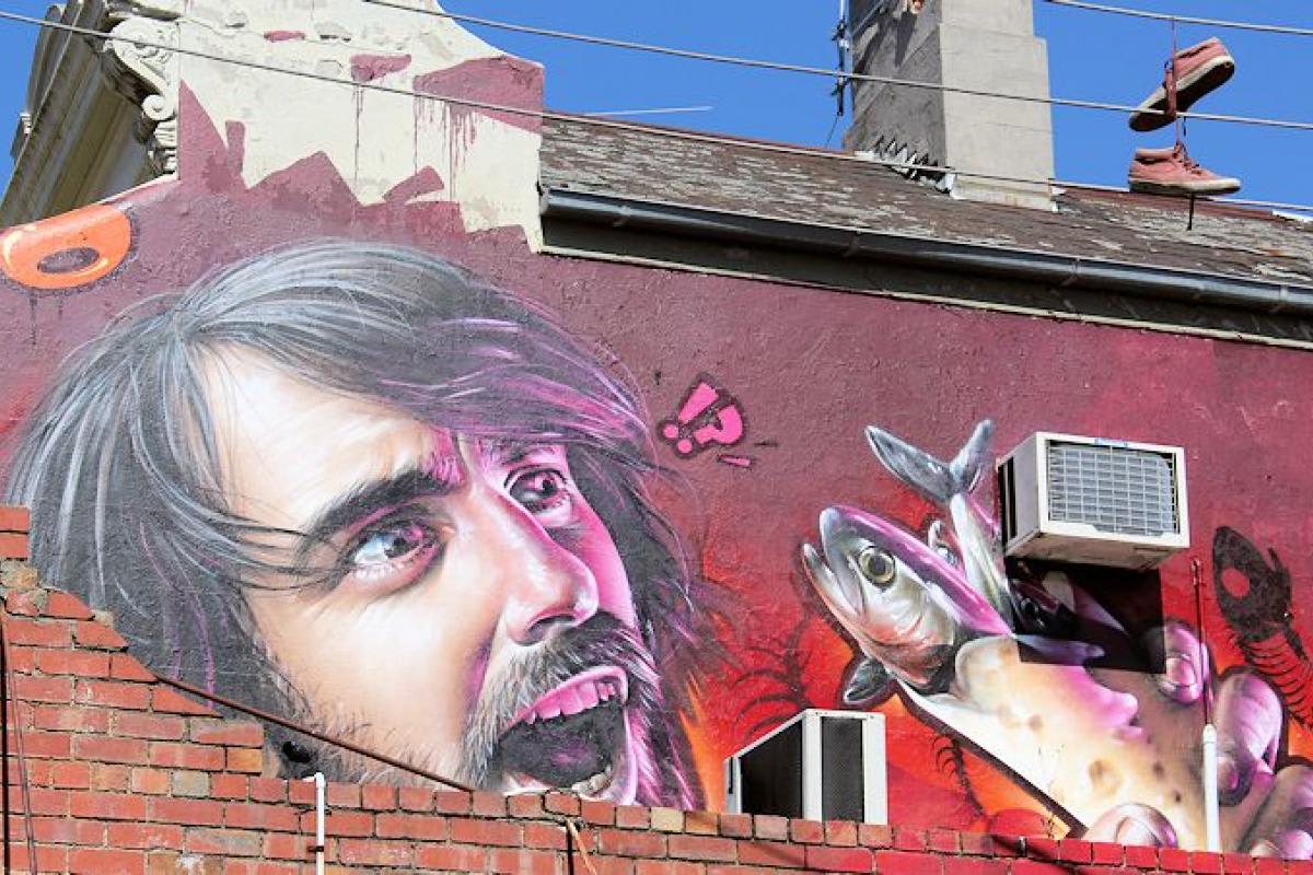 What's new in Fitzroy What's new in Fitzroy