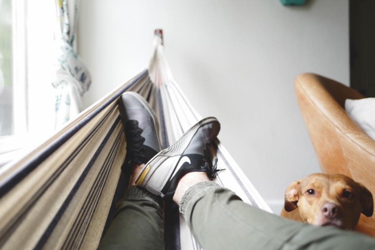 Young Home Renters as ‘Permanent Renters’? Young Home Renters as ‘Permanent Renters’?