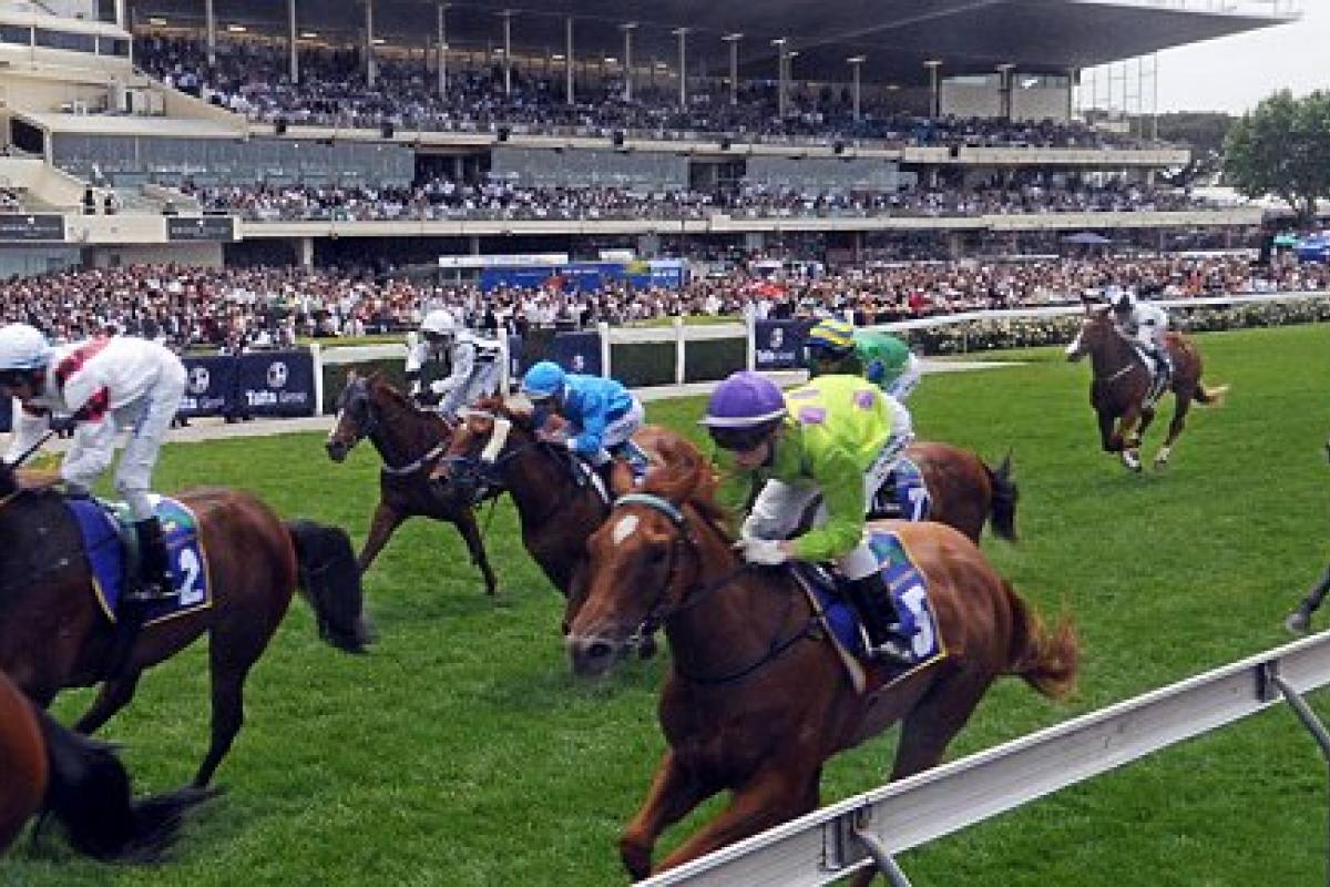 Moonee Valley Racecourse Master Plan kicks again Moonee Valley Racecourse Master Plan kicks again