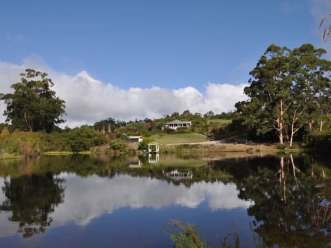 On the hunt for Australia's truffle farms