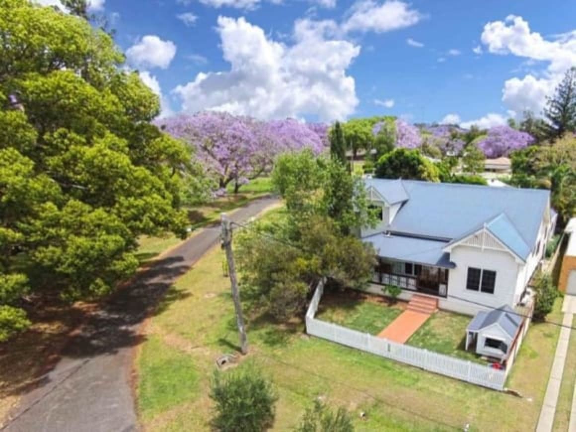 End of jacaranda season offerings at Grafton: He Said/She Said