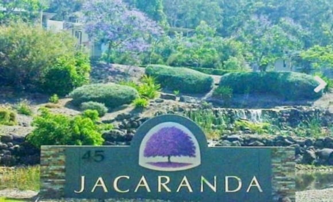 Jacaranda's ablaze in property offerings