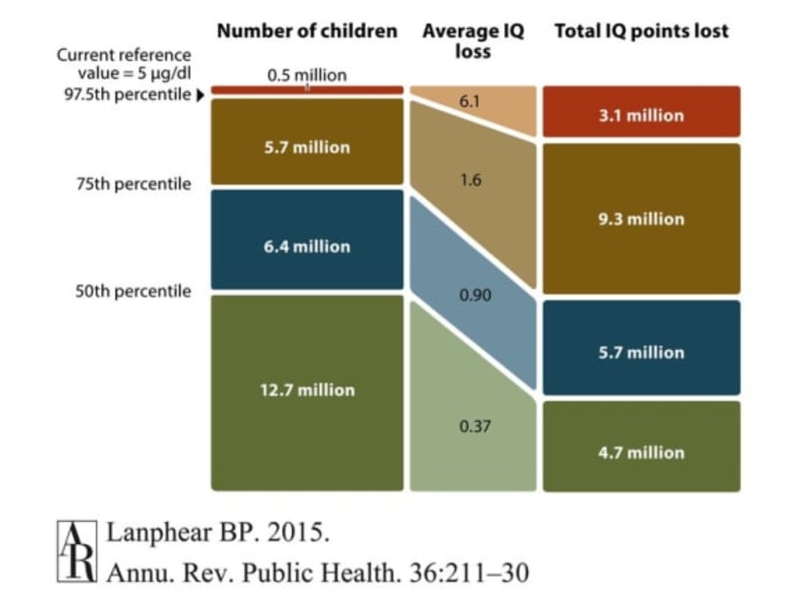 Elevated lead levels in Sydney backyards: here’s what you can do