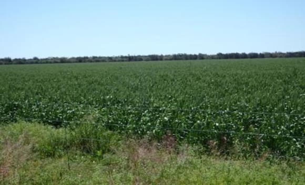 Lightning Ridge residential values bolt: NSW Valuer-General
