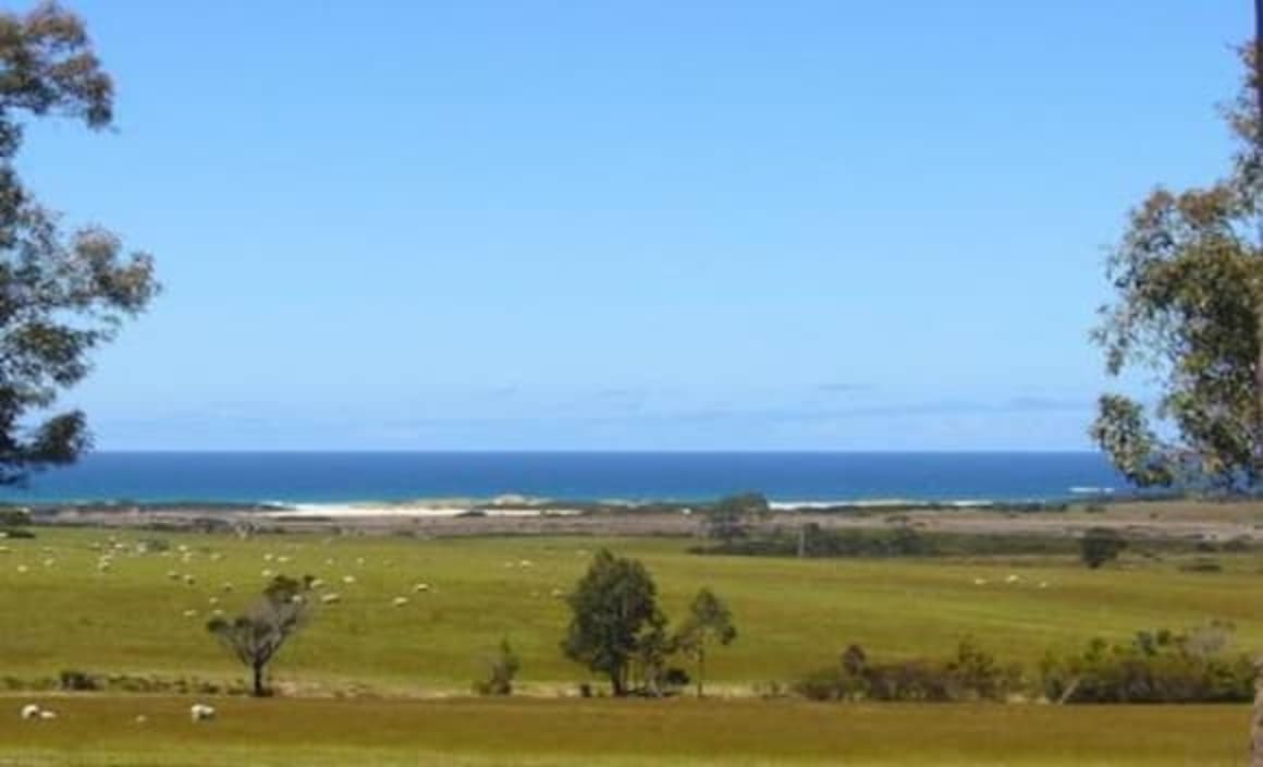 Farms account for 27 percent of Tasmania's regional market sales