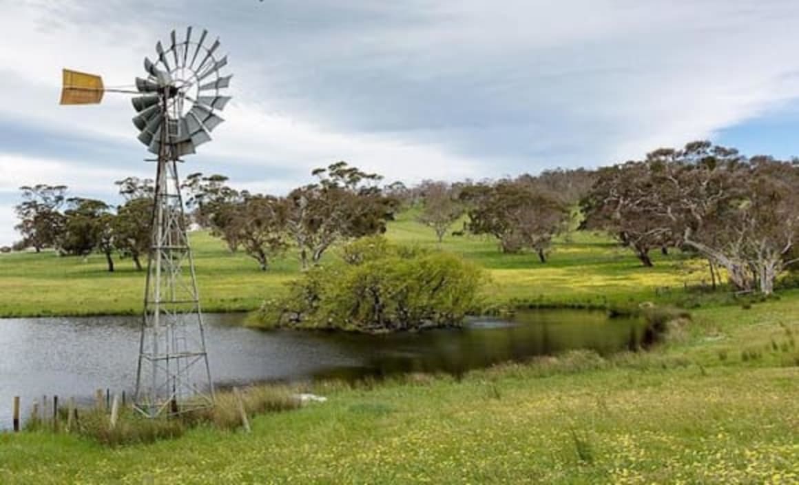 South Australian rural sales greater than 1,000 hectares accounts for just 3 percent of activity