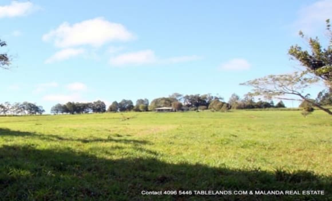 Queensland rural sales volume falls by 8%: Harcourts