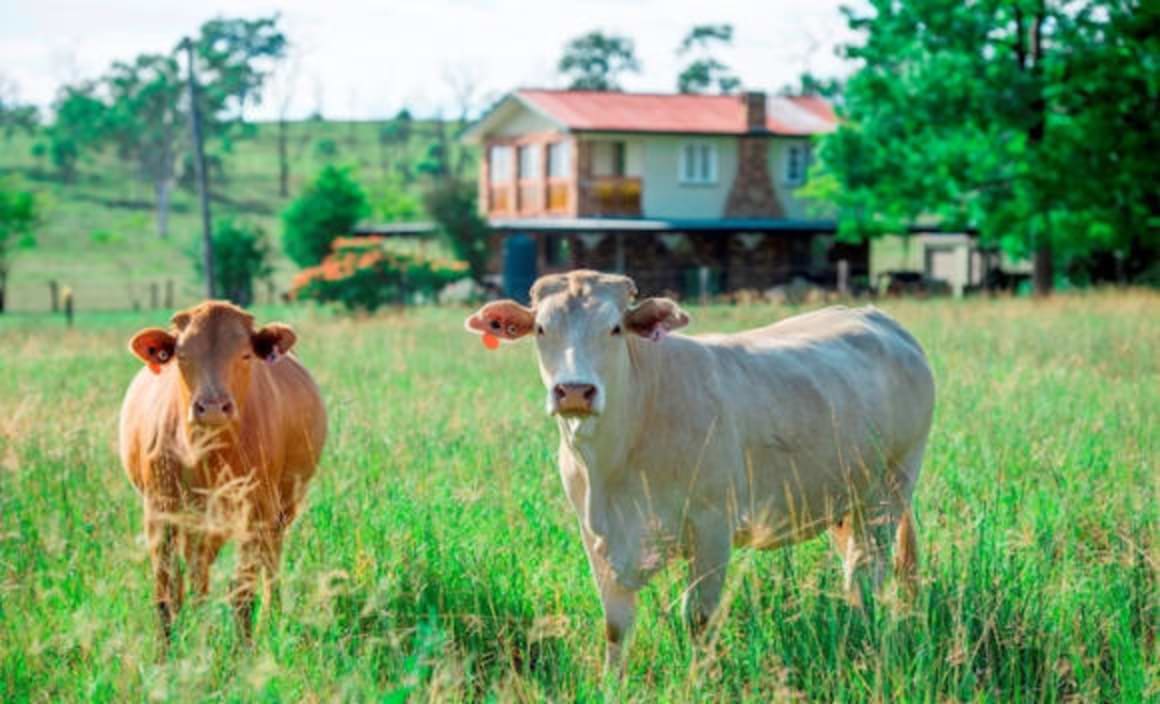 Grandchester farm Emerald View to be sold after 147 years