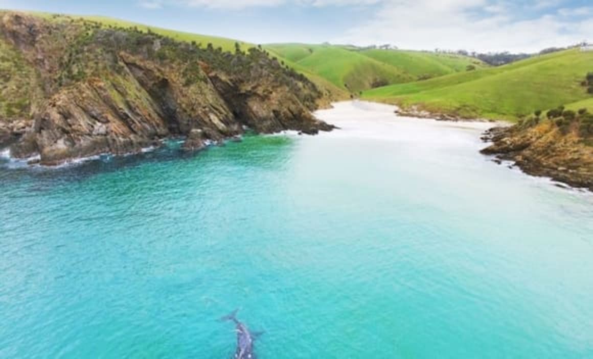 Kangaroo Island's Del Mole Estate for sale