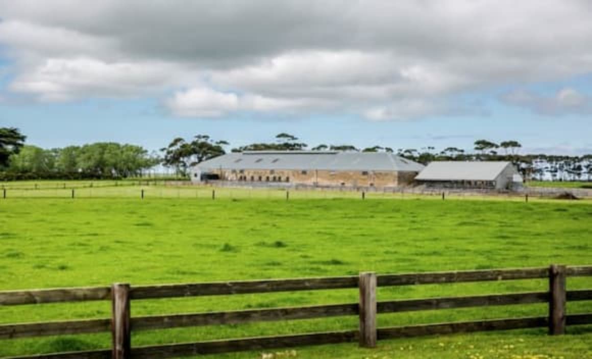 Mount Schanck, one of South Australia's prized grazing stations, listed for $50 million