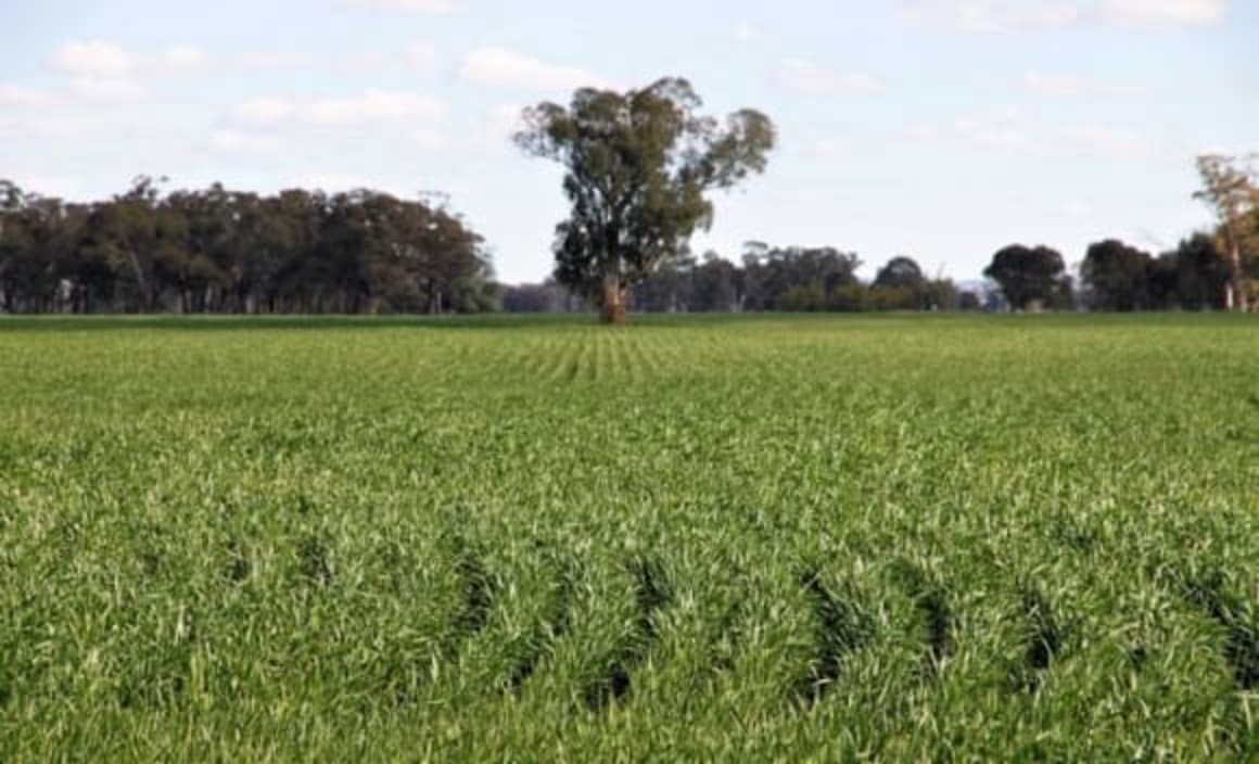 Billionaire Sir Michael Hintze sells blue-ribbon Glaisnock farm for $8.8 million