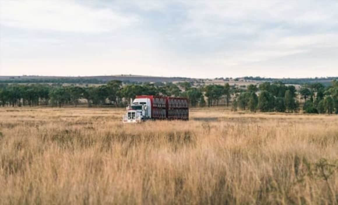 26,000 hectare agri footprint in NSW’s Golden Triangle hits the market