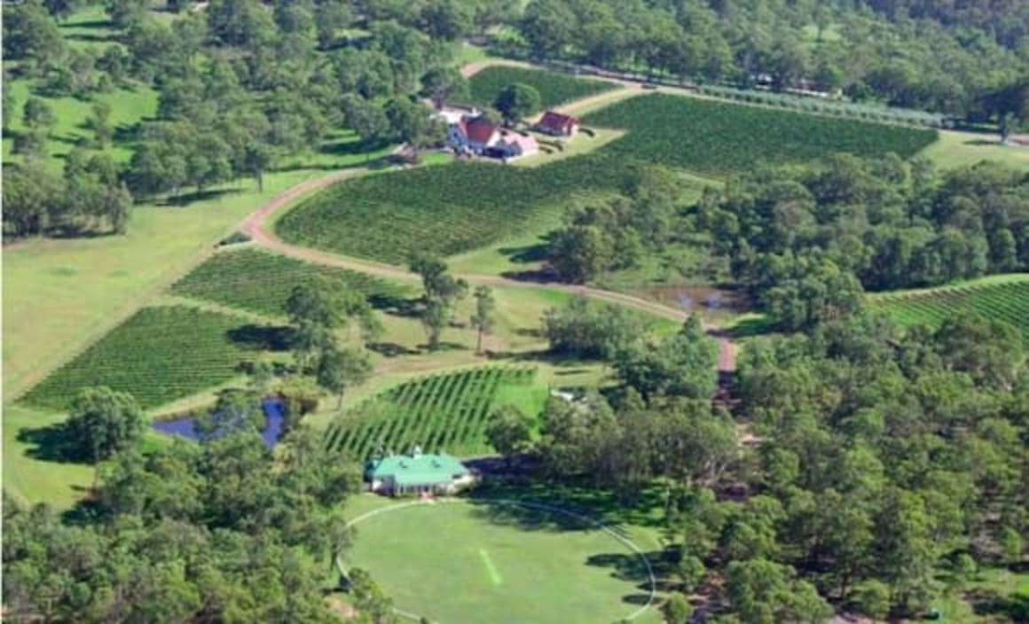 Chinese list Wandin Valley vineyard