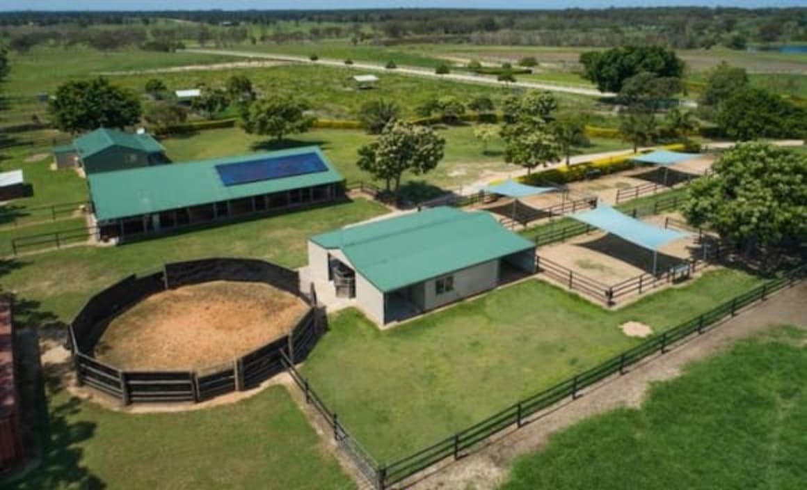 South-east Queensland horse breeding farm for sale