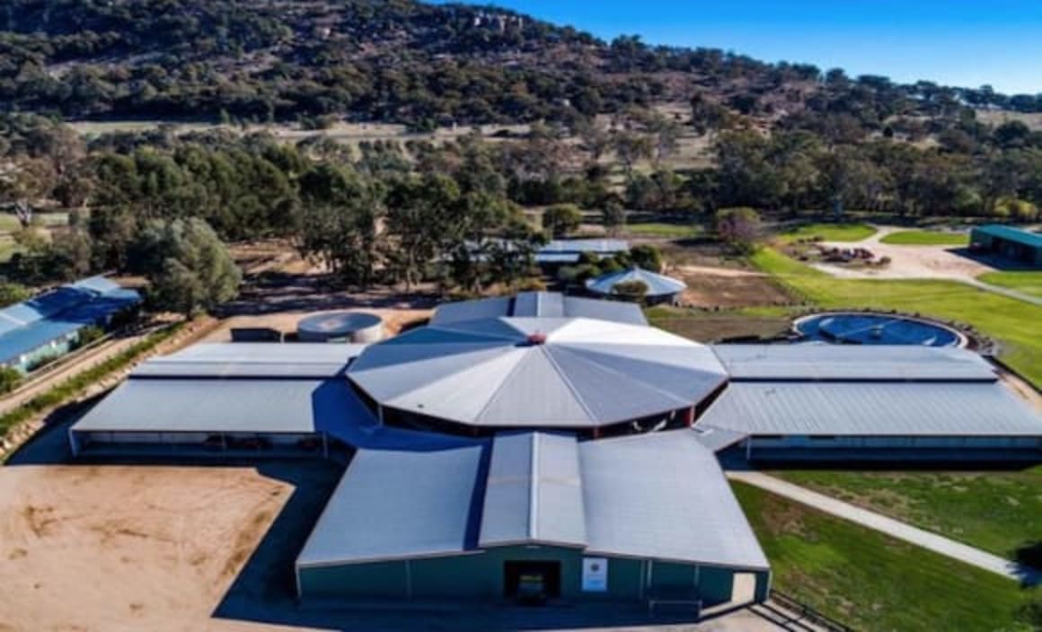 Premier thoroughbred training facility Rockmount listed