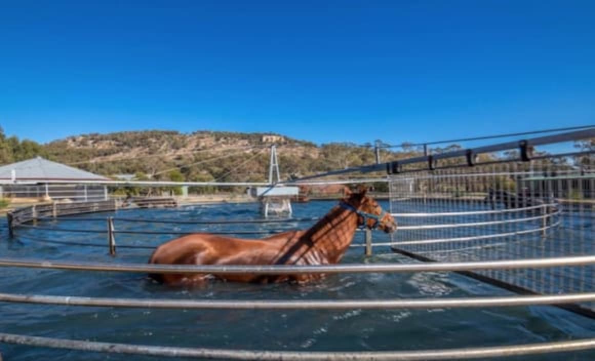Premier thoroughbred training facility Rockmount listed