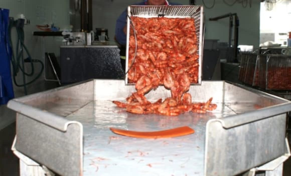 Australia's first prawn farm for sale in Northern NSW