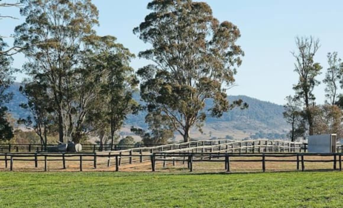 Vrisakis family list Phalaris Stud at Rylstone